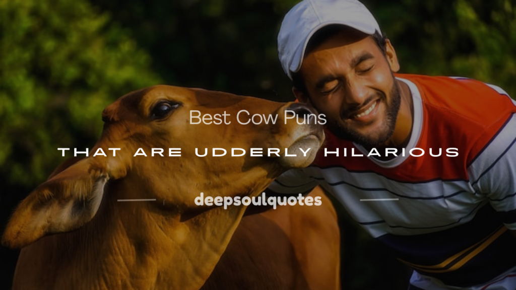cow puns