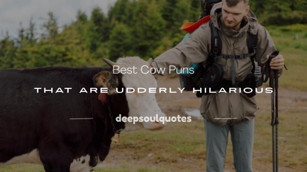 cow puns